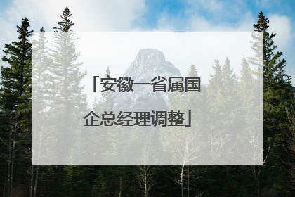 安徽一省属国企总经理调整